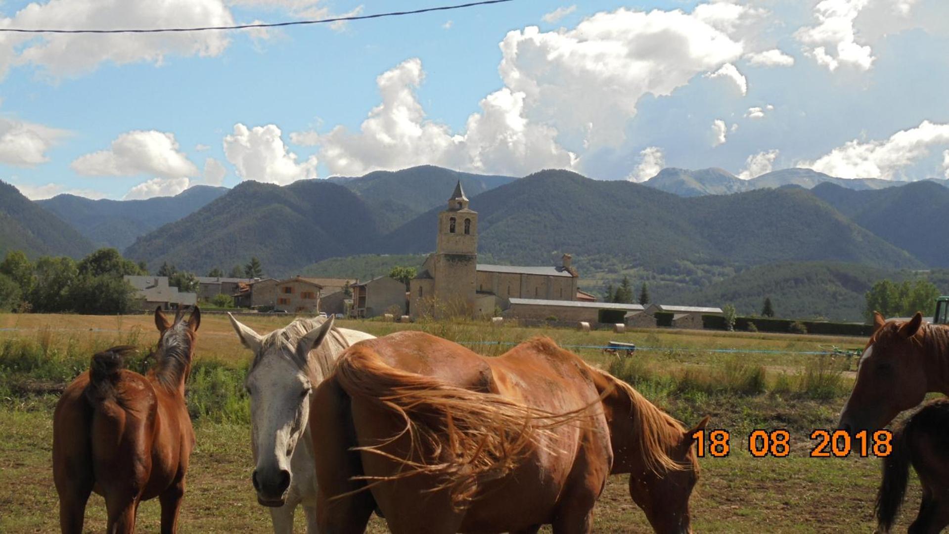 Can Vall Bellver Bellver De Cerdanya Exterior photo